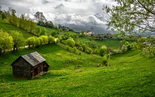 Картинка Румыния, Transylvania, трава, зелень, дома, деревья