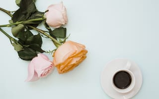 Картинка цветы, розы, flowers, coffee cup, букет, чашка кофе, roses, pink