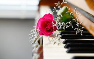 Картинка пианино, цветы, музыка