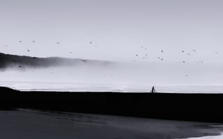 Картинка человек, море, пейзаж, птицы, минимализм, туман