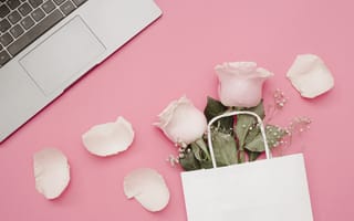 Картинка цветы, roses, pink, ноутбук, розовый, розы, laptop, petals, flowers, лепестки