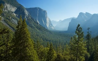 Обои США, деревья, долина, Калифорния, дымка, лес, горы, панорама, Национальный парк Йосемити, ущелье, скалы, Yosemite National Park