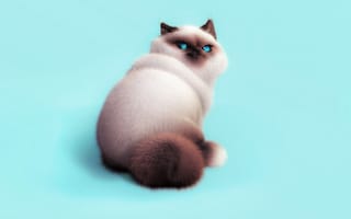 Картинка кот, пушистик, Oksana Cherry, настроение, арт, характер, Meow)