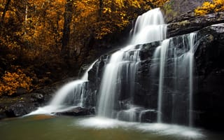 Картинка осень, лес, листья, деревья, водопад, желтые, камни