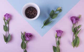 Картинка фиолетовый, цветы, эустома, зерна, чашка, кофе, flowers, beans, purple, coffee, cup, eustoma