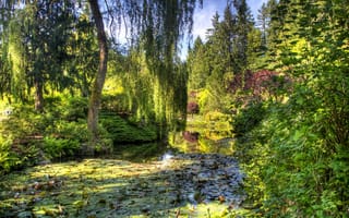 Картинка Канада, зелень, Butchart Gardens, кусты, сад, пруд, деревья, Victoria