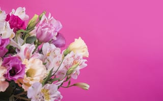 Картинка цветы, розовый, flowers, pink, лилии, lily