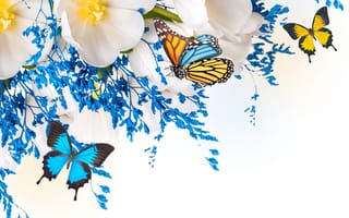 Картинка цветы, лепестки, бабочка, мотылек, тюльпаны, крылья, коллаж