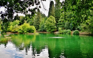 Картинка США, Oregon, деревья, зелень, ветки, Laurelhurst Park, Portland, озеро