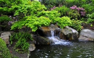 Картинка Калифорния, кусты, ручей, водопад, Miller Japanese Garden, камни, сад