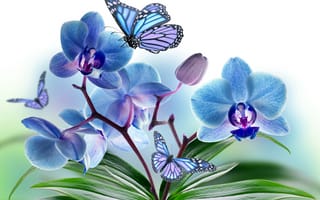 Обои цветы, крылья, орхидея, лепестки, коллаж, бабочка