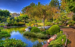 Картинка сад, Earl Burns Miller Japanese, пруд, California, USA, деревья, дорожка, кусты, клумбы