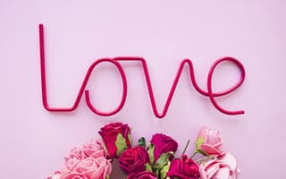 Картинка любовь, цветы, love, pink, розовый, beautiful, flowers, розы