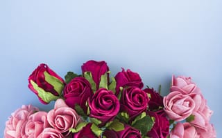 Картинка цветы, розы, roses, pink, flowers, beautiful, розовые, romantic