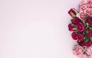 Картинка цветы, розовые, romantic, beautiful, flowers, розы, pink, roses