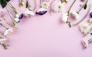Картинка цветы, white, romantic, eustoma, flowers, белые, розовый, хризантемы, эустома, beautiful