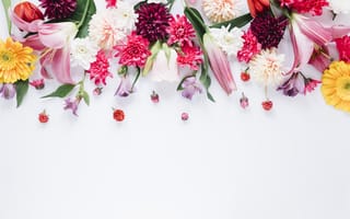 Картинка цветы, лепестки, colorful, petals, flowers, розовые, pink