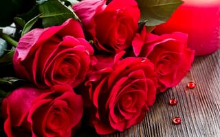 Обои букет, крупным планом, розы, красные