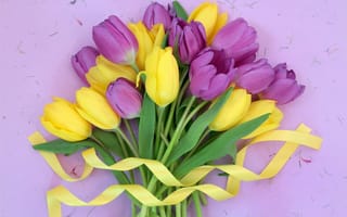 Картинка tulips, цветы, тюльпаны, fresh, букет, flowers, yellow, purple, лента