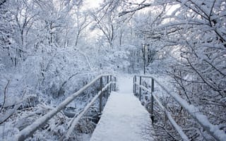 Обои зима, winter, зимний, мост, снежинки, snow, природа, nature, снег, деревья, landscape, beautiful, snowflakes, пейзаж