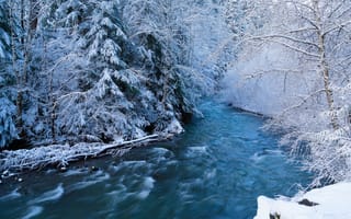 Картинка лес, река, снег, зима, поток