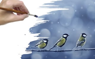Картинка ветка, синицы, птички, рисунок, снег, рука, кисть