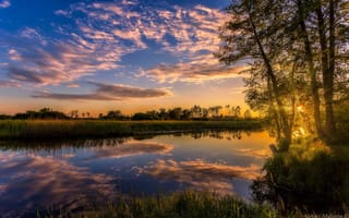 Картинка небо, отражение, река, деревья, закат, Aleksei Malygin
