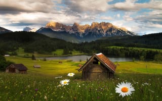 Картинка горы, цветы, хижина, природа, лес, Fabian Vogl