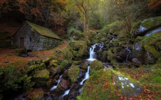 Картинка осень, лес, хижина, поток, ручей