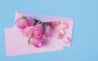 Картинка цветы, розы, romantic, pink, конверт, розовые, beautiful, flowers