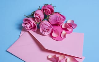 Картинка цветы, beautiful, розы, pink, конверт, розовые, romantic, petals, roses, лепестки, flowers