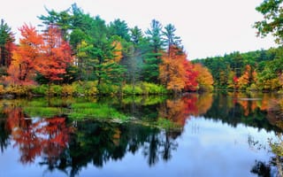 Картинка небо, река, отражение, озеро, деревья, вода, лес, осень