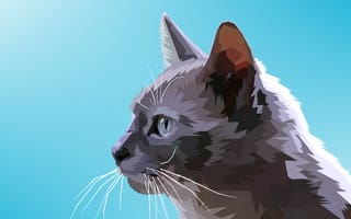 Картинка кот, векторная графика