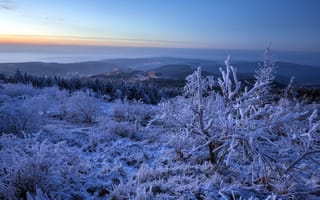 Картинка зима, снег, утро, пейзаж