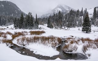 Картинка зима, лес, туман, ручей, пейзаж, снег, природа, горы