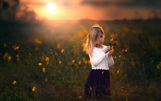 Картинка девочка, цветы, закат, поле