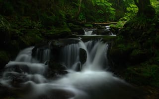 Картинка зелень, лес, вода, камни, природа, пейзаж, берег, темный