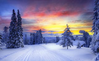 Картинка Норвегия, зима, деревья, елки, небо, лес, следы, закат, природа, снег, горы, дорога, облака