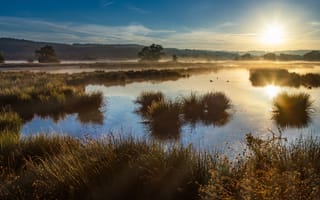 Картинка небо, трава, облака, солнце, свет, лучи, вода, деревья
