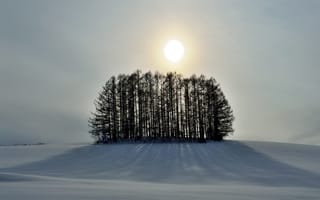 Картинка небо, солнце, зима, деревья, холм, снег