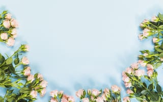 Картинка голубой, roses, букет, композиция, розовые, розы, flower