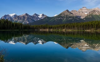 Картинка лес, небо, снег, пейзаж, природа, ветки, облака, горы