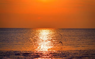 Обои Закат, Sunset, Sea, Море