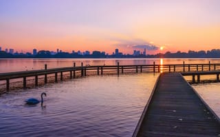 Картинка небо, солнце, город, мост, свет, пейзаж, закат, облака