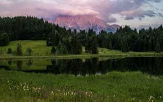 Картинка зелень, лес, горы, трава, цветы, небо, лето, облака