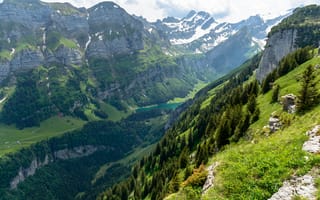 Картинка лес, пейзаж, природа, озеро, Швейцария, Альпы, горы, Зеальпзе