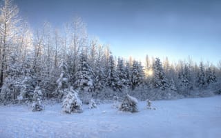 Картинка закат, деревья, зима, пейзаж, природа
