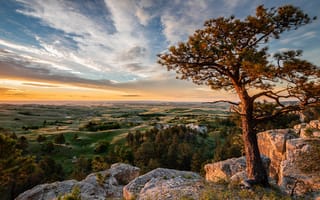 Картинка поле, облака, камни, природа, ветки, пейзаж, свет, деревья