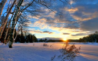 Картинка зима, лес, снег, пейзаж, Канада, природа, берёзы, деревья, лучи, солнце, закат, Квебек
