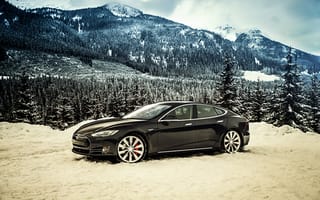 Картинка 2014, P85D, Tesla, Model S, тесла